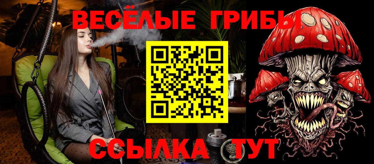 Галлюциногенные грибы прущие грибы  Псилоцибиновые грибы Cubensis  Вход с VPN  Красногорск 