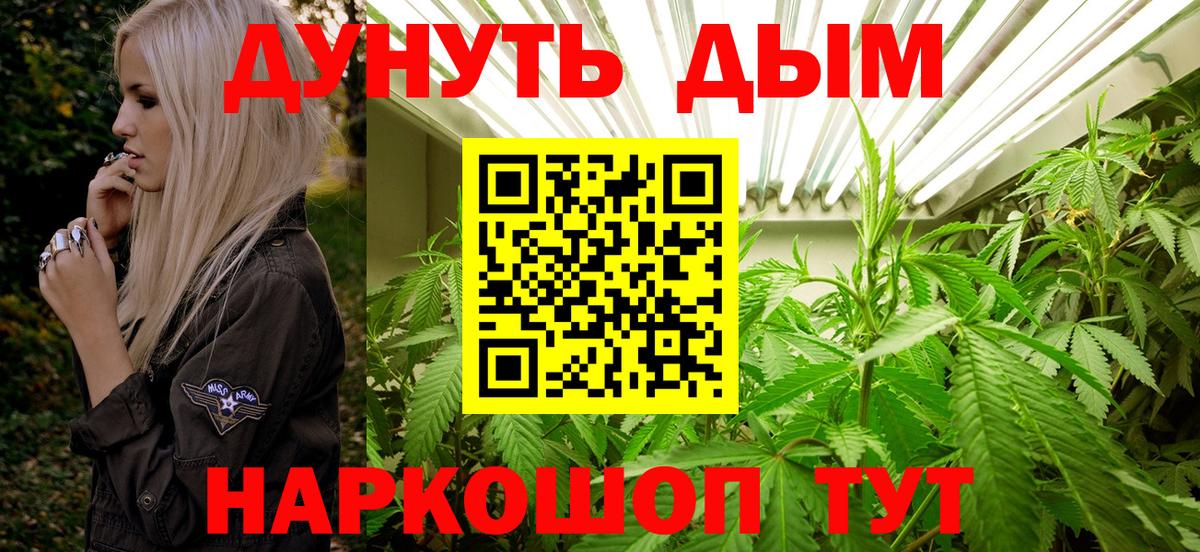 Конопля ГИДРОПОН  Вход с VPN  Красногорск  Бошки Шишки ГИДРОПОН 